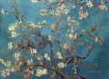 branch of an almond tree in blossom van gogh
